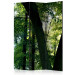 Folding Screen Spring in the Park - landscape of trees and leaves against sunlight 124021