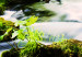 Canvas Print Trip to the Forest (1 Part) Wide 125021 additionalThumb 5
