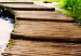 Canvas Print Trip to the Forest (1 Part) Wide 125021 additionalThumb 4
