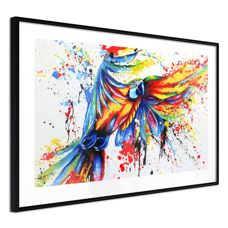 Wall Poster Phenomenal Flight - abstract flying colorful parrot on a white background 127321 additionalImage 6