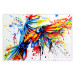 Wall Poster Phenomenal Flight - abstract flying colorful parrot on a white background 127321