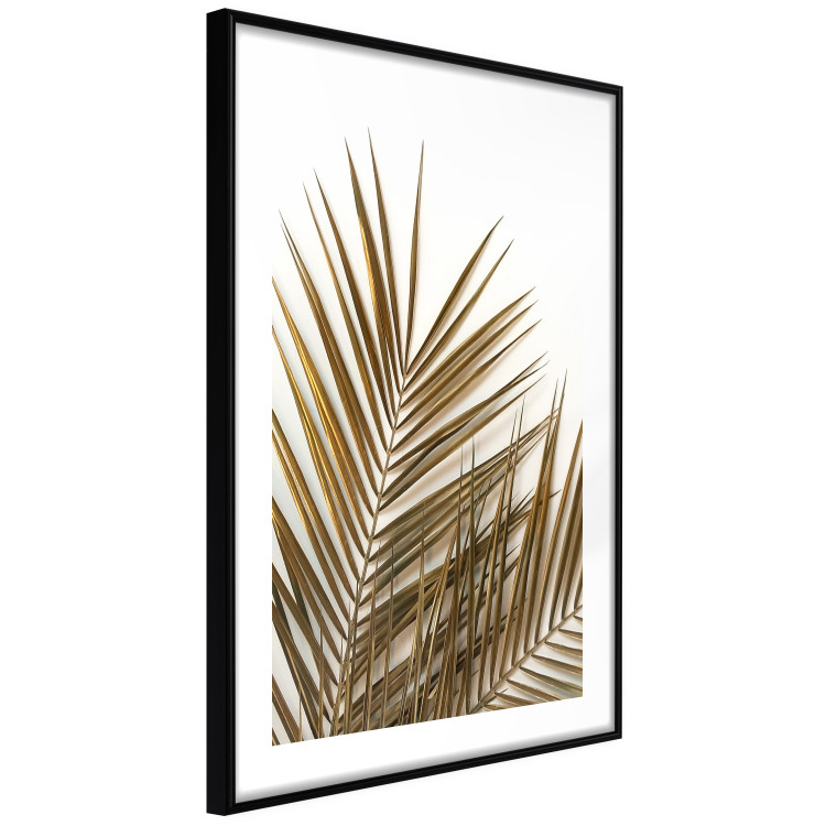 Wall Poster Coconut Palm - composition of plant with green leaves on white background 128021 additionalImage 6