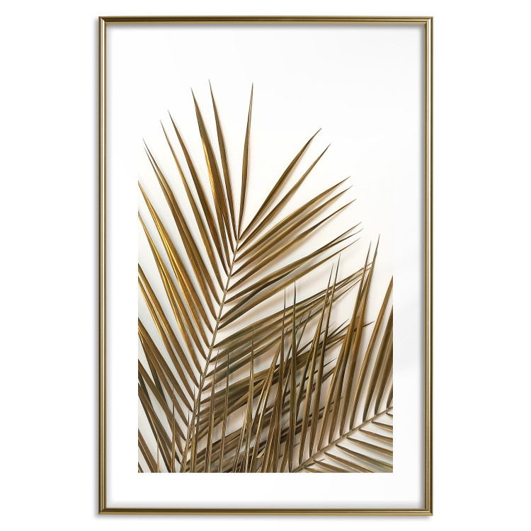 Wall Poster Coconut Palm - composition of plant with green leaves on white background 128021 additionalImage 14