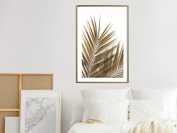 Wall Poster Coconut Palm - composition of plant with green leaves on white background 128021 additionalImage 13