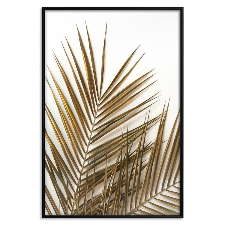 Wall Poster Coconut Palm - composition of plant with green leaves on white background 128021 additionalImage 16