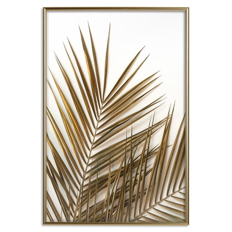 Wall Poster Coconut Palm - composition of plant with green leaves on white background 128021 additionalImage 17
