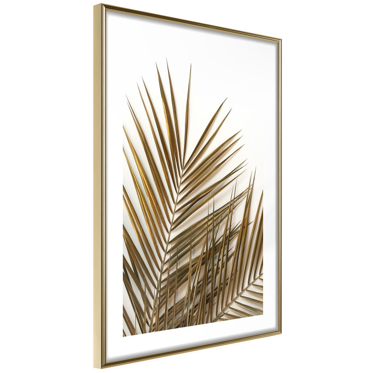 Wall Poster Coconut Palm - composition of plant with green leaves on white background 128021 additionalImage 7