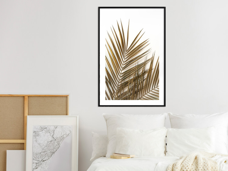 Wall Poster Coconut Palm - composition of plant with green leaves on white background 128021 additionalImage 18