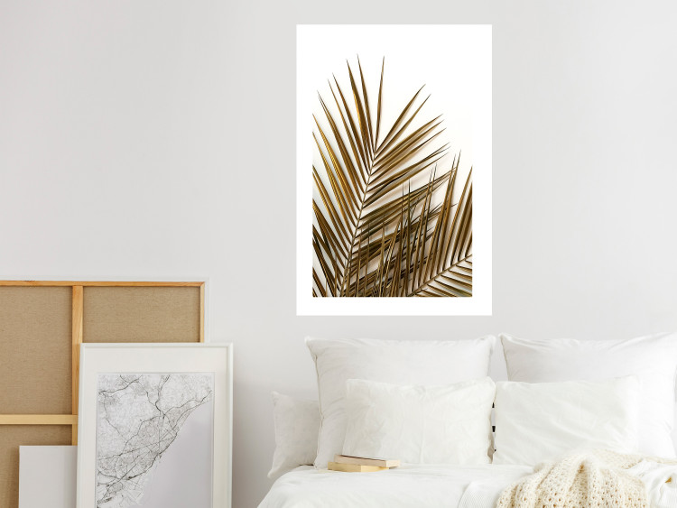 Wall Poster Coconut Palm - composition of plant with green leaves on white background 128021 additionalImage 3