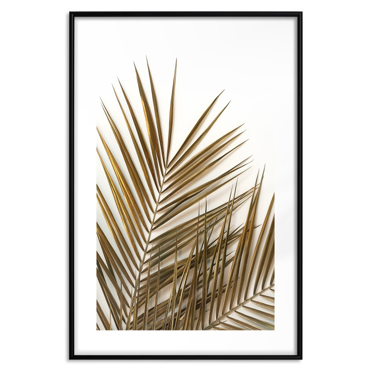 Wall Poster Coconut Palm - composition of plant with green leaves on white background 128021 additionalImage 15