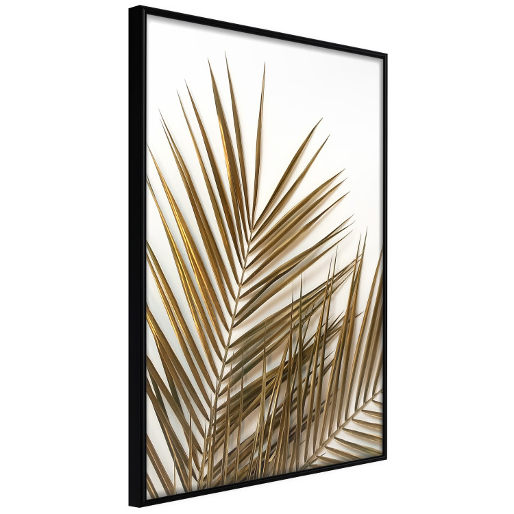 Wall Poster Coconut Palm - composition of plant with green leaves on white background 128021 additionalImage 11