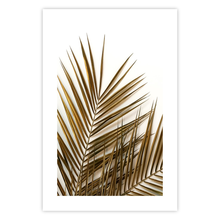 Wall Poster Coconut Palm - composition of plant with green leaves on white background 128021 additionalImage 19