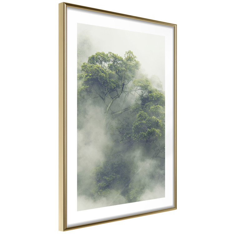 Poster Misty Amazon - landscape of green tree crowns amidst dense fog 129421 additionalImage 7