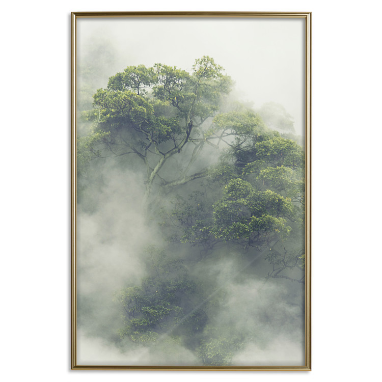 Poster Misty Amazon - landscape of green tree crowns amidst dense fog 129421 additionalImage 17