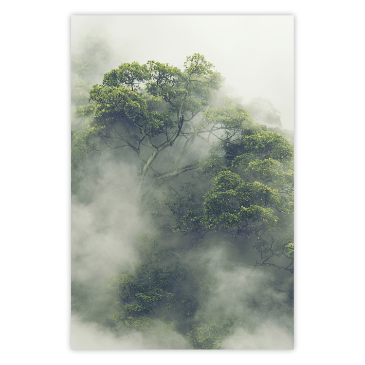 Poster Misty Amazon - landscape of green tree crowns amidst dense fog 129421