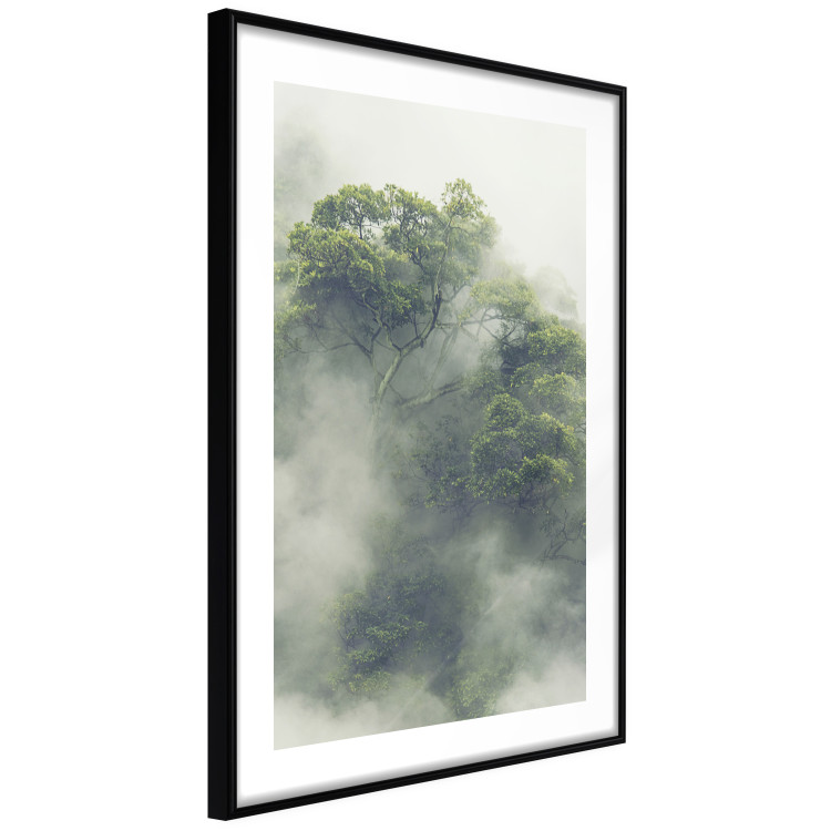 Poster Misty Amazon - landscape of green tree crowns amidst dense fog 129421 additionalImage 6
