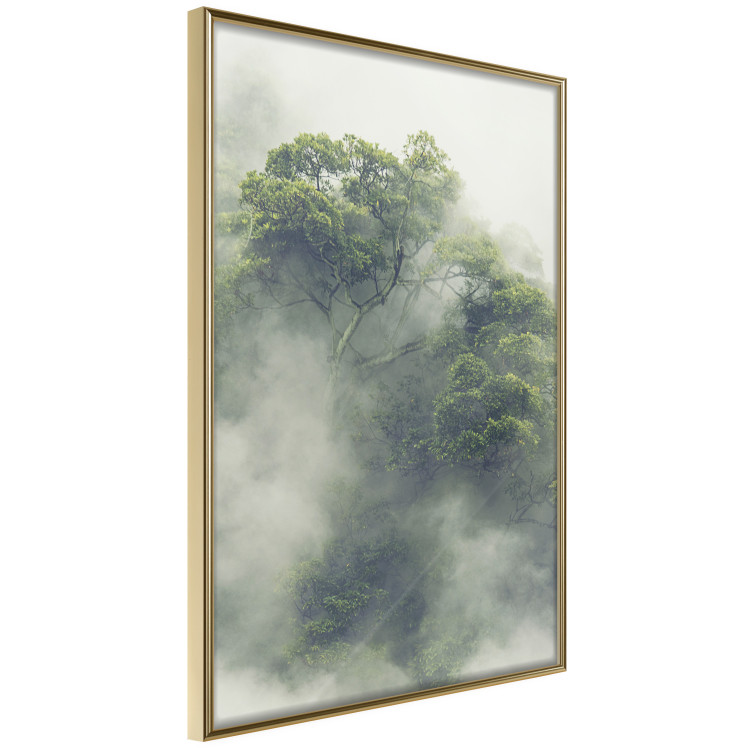Poster Misty Amazon - landscape of green tree crowns amidst dense fog 129421 additionalImage 12