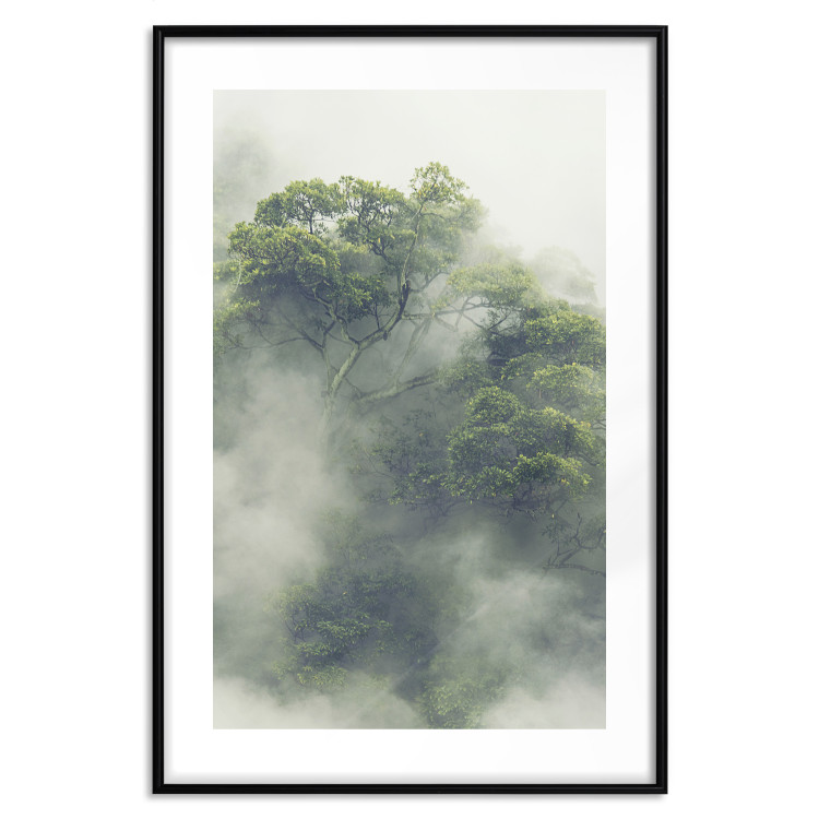 Poster Misty Amazon - landscape of green tree crowns amidst dense fog 129421 additionalImage 15
