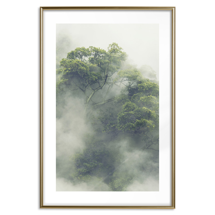 Poster Misty Amazon - landscape of green tree crowns amidst dense fog 129421 additionalImage 14