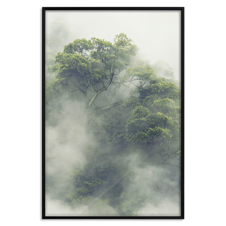 Poster Misty Amazon - landscape of green tree crowns amidst dense fog 129421 additionalImage 16