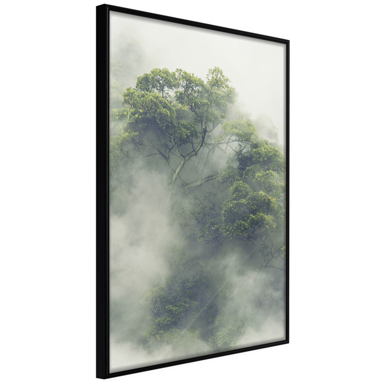 Poster Misty Amazon - landscape of green tree crowns amidst dense fog 129421 additionalImage 11
