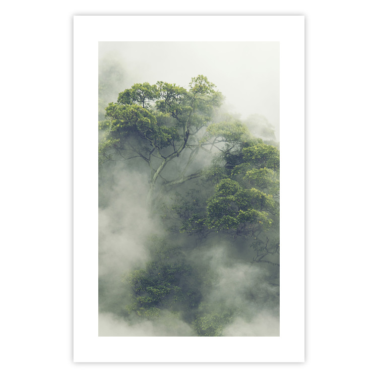 Poster Misty Amazon - landscape of green tree crowns amidst dense fog 129421 additionalImage 19