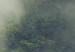 Poster Misty Amazon - landscape of green tree crowns amidst dense fog 129421 additionalThumb 10