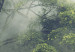 Poster Misty Amazon - landscape of green tree crowns amidst dense fog 129421 additionalThumb 9