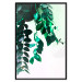Poster Nature's Beads - plant with natural leaves on a contrasting background 129921 additionalThumb 16