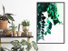 Poster Nature's Beads - plant with natural leaves on a contrasting background 129921 additionalThumb 6