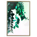 Poster Nature's Beads - plant with natural leaves on a contrasting background 129921 additionalThumb 17