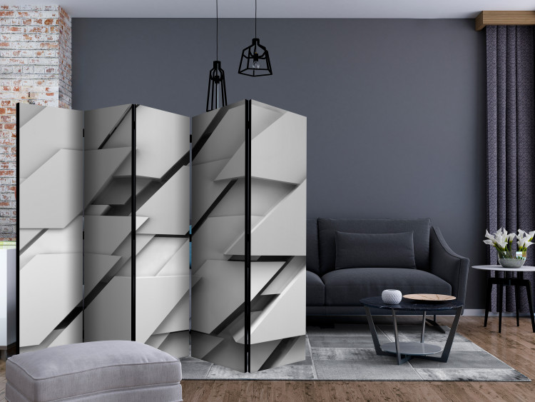 Folding Screen Edge of Gray II (5-piece) - artistic abstraction in figures 132821 additionalImage 4