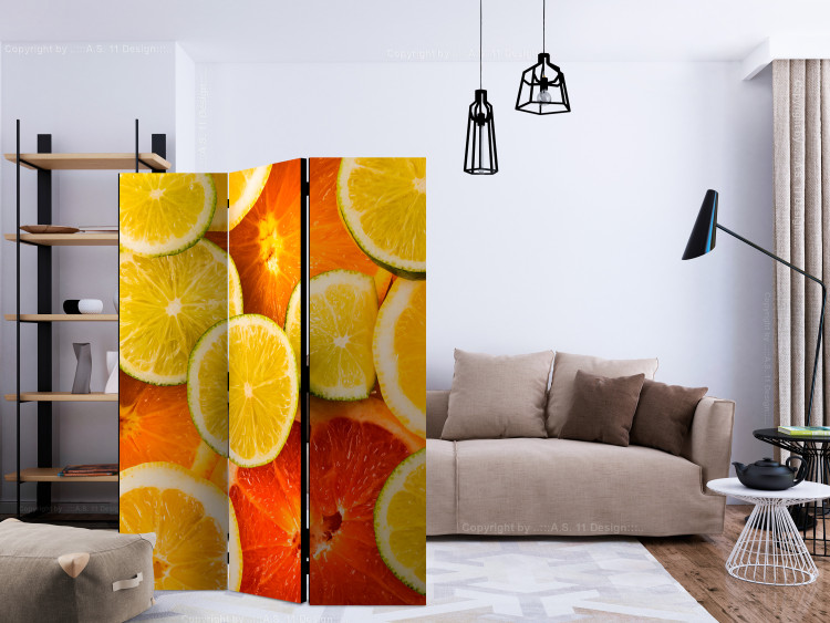 Room Divider Screen Citrus Fruits (3-piece) - juicy orange tropical fruits 133321 additionalImage 4