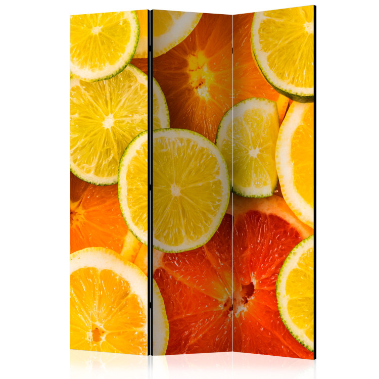 Room Divider Screen Citrus Fruits (3-piece) - juicy orange tropical fruits 133321