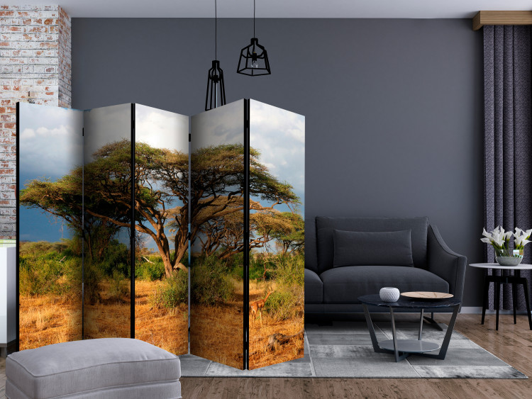 Room Divider Screen In the Land of Samburu, Kenya II - natural tropical landscape of trees 134021 additionalImage 4