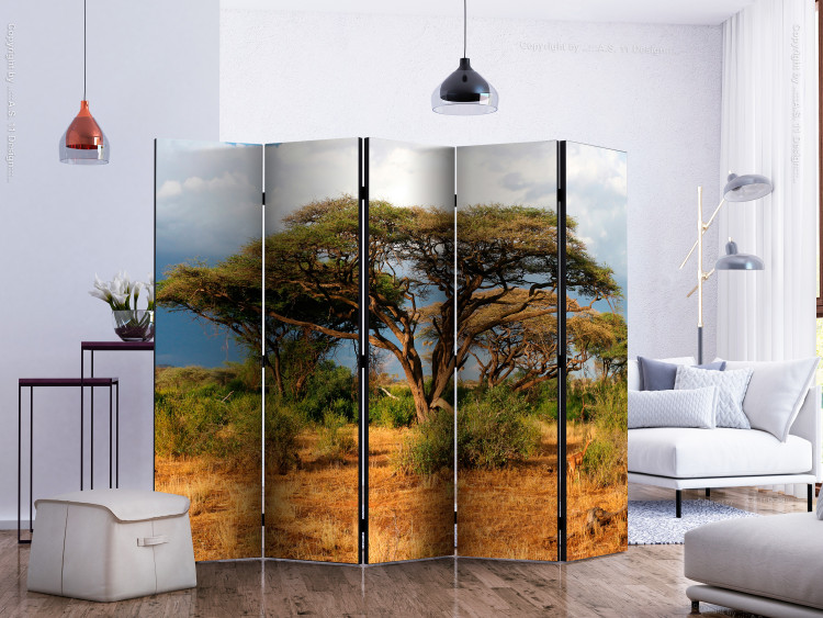 Room Divider Screen In the Land of Samburu, Kenya II - natural tropical landscape of trees 134021 additionalImage 2