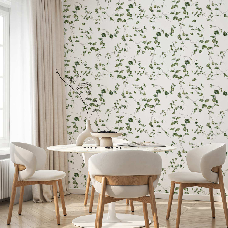 Modern Wallpaper Ivy Shoots 134421