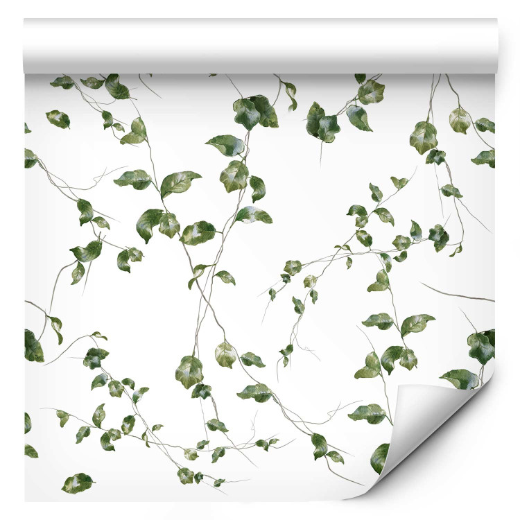 Modern Wallpaper Ivy Shoots 134421 additionalImage 6