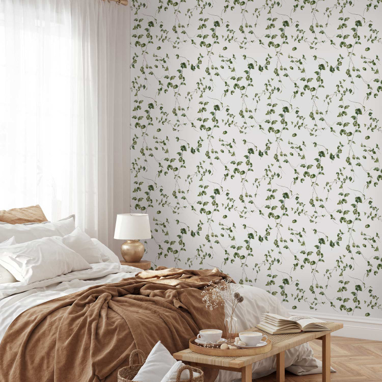 Modern Wallpaper Ivy Shoots 134421 additionalImage 4
