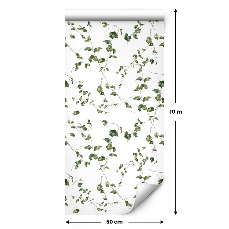 Modern Wallpaper Ivy Shoots 134421 additionalImage 2