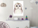 Poster Cheerful Owl - portrait of an owl with a flower on a white contrasting background 135721 additionalThumb 27