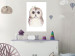 Poster Cheerful Owl - portrait of an owl with a flower on a white contrasting background 135721 additionalThumb 18