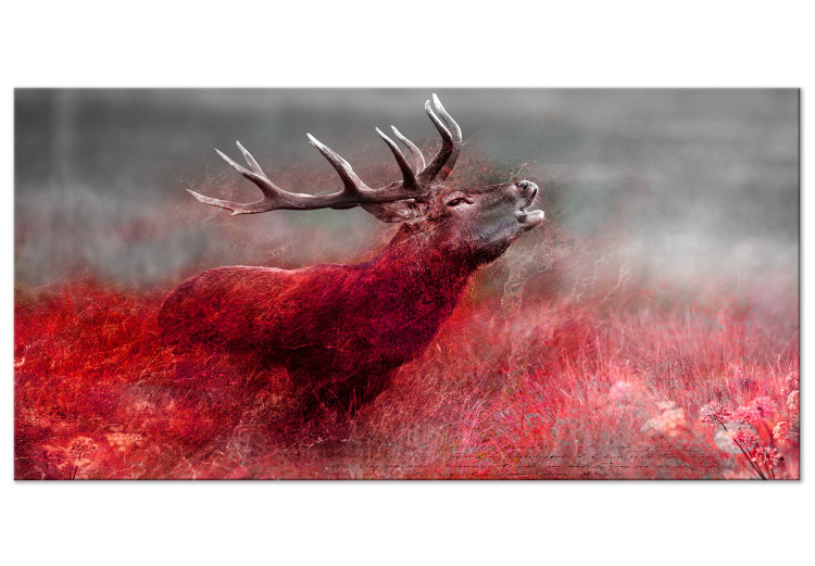 Large canvas print Bloody Field II [Large Format] 137621