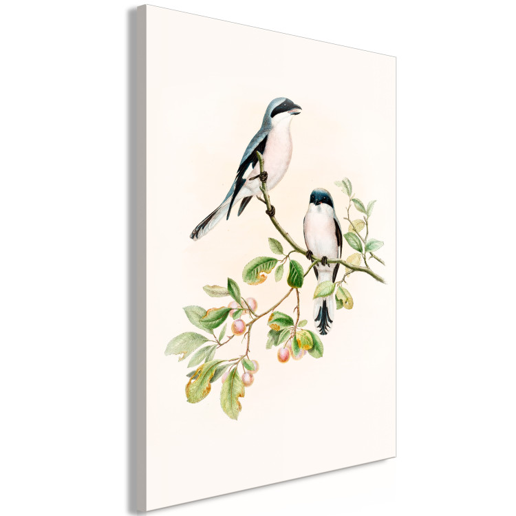 Canvas Print Black-Fronted Shrike - Illustration of a Pair of Birds on a Branch 149821 additionalImage 2