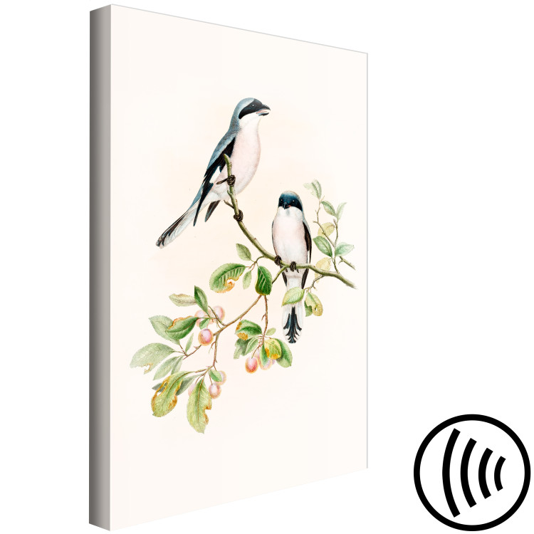 Canvas Print Black-Fronted Shrike - Illustration of a Pair of Birds on a Branch 149821 additionalImage 6