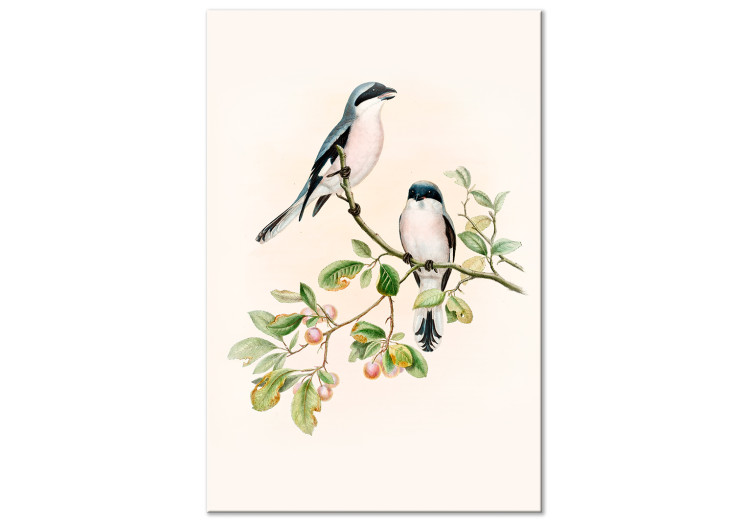 Canvas Print Black-Fronted Shrike - Illustration of a Pair of Birds on a Branch 149821