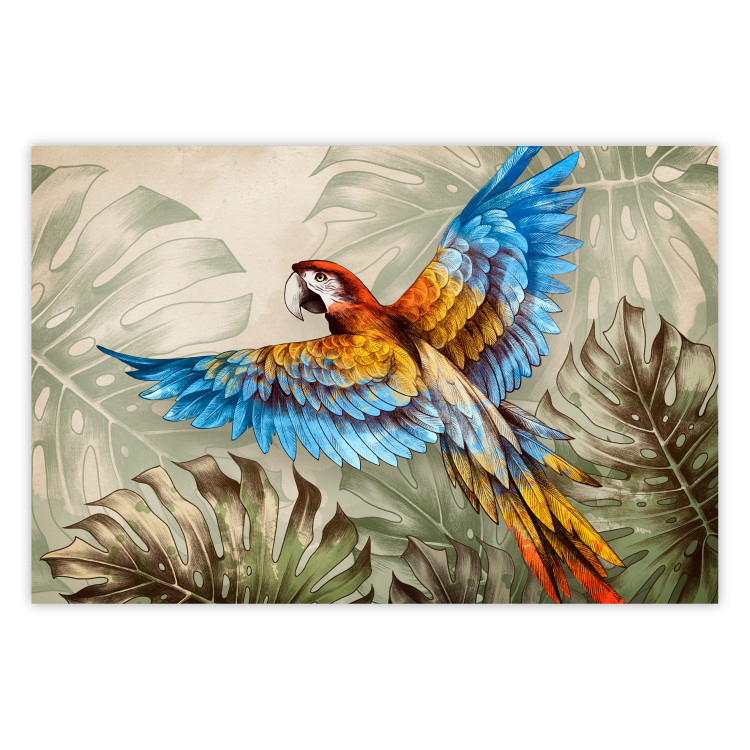 Poster Parrot in the Jungle - A Colorful Bird Among the Green Leaves of a Monstera 151521