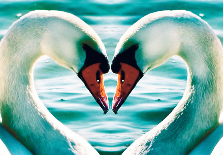 Canvas Print Swans in love 50621 additionalImage 2