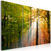 Canvas Art Print A calm autumn forest 58521 additionalThumb 2