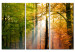 Canvas Art Print A calm autumn forest 58521